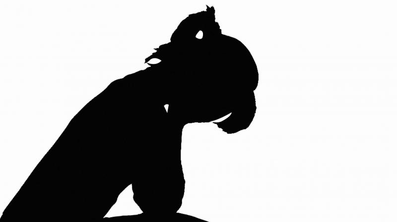 Whenever a female is tormented, the media goes knocking at their door. (Representational image) Whenever a female is tormented, the media goes knocking at their door. (Representational image)
