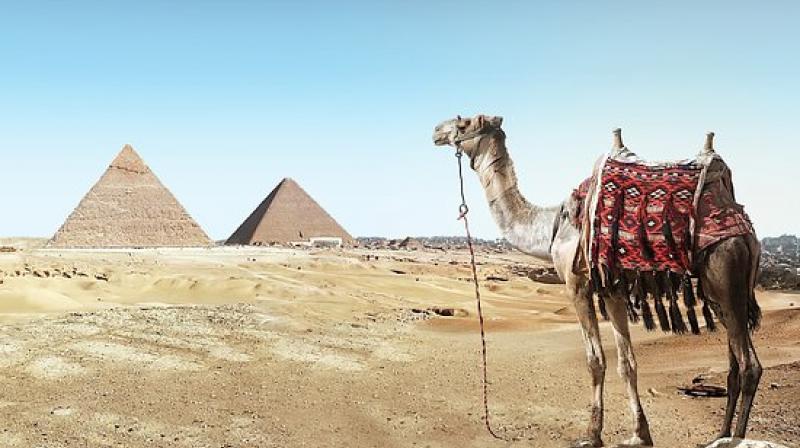 Egypt hopes such discoveries will spur tourism, which is partially driven by antiquities sightseeing hit hard by political turmoil following the 2011 uprising. (Photo: Repreentational/Pixabay) Egypt hopes such discoveries will spur tourism, which is partially driven by antiquities sightseeing hit hard by political turmoil following the 2011 uprising. (Photo: Repreentational/Pixabay)