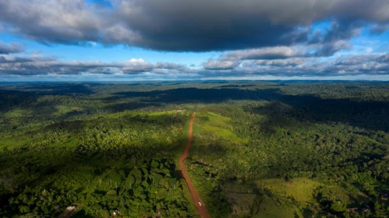The landscapes of lions, giraffes and vast herds of wildebeest cover more than 20 percent of Earth's land surface and can be as rich in biodiversity as tropical forests. (Photo: AFP) The landscapes of lions, giraffes and vast herds of wildebeest cover more than 20 percent of Earth's land surface and can be as rich in biodiversity as tropical forests. (Photo: AFP)