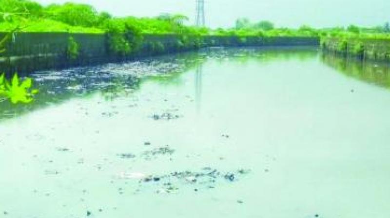 The India Meteorological Department (IMD) has predicted heavy rainfall in the city throughout the day and also issued a warning of high tide in the Arabian Sea in the afternoon. (Photo: File) The India Meteorological Department (IMD) has predicted heavy rainfall in the city throughout the day and also issued a warning of high tide in the Arabian Sea in the afternoon. (Photo: File)