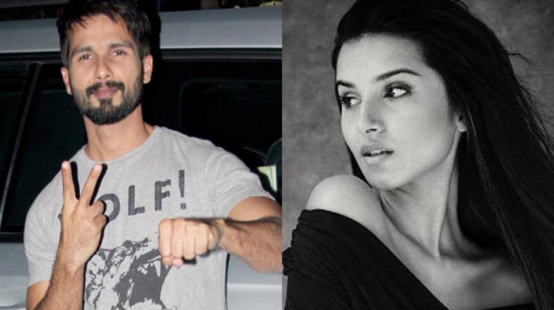 Shahid Kapoor and Tara Sutaria Shahid Kapoor and Tara Sutaria