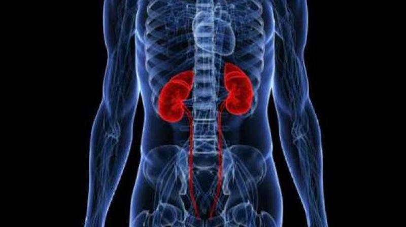 There is a significant association between sleep quality and kidney failure risk. (Representational Image) There is a significant association between sleep quality and kidney failure risk. (Representational Image)