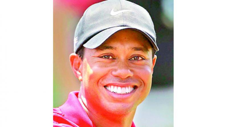 Tiger lost in the Woods: Tiger lost in the Woods: