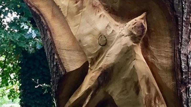 Tree sculptures liven up dead trees. (Photo: cesa_rine/Instagram) Tree sculptures liven up dead trees. (Photo: cesa_rine/Instagram)