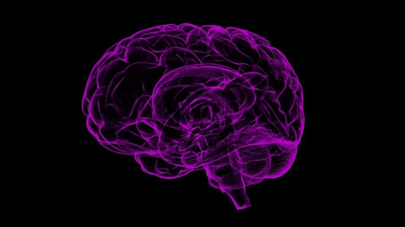 Study finds link between lung disease and dementia. (Photo: Pixabay) Study finds link between lung disease and dementia. (Photo: Pixabay)