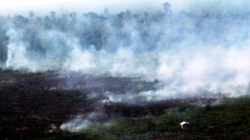 Smoke billows during a forest fires in Pelalawan, Riau province, Indonesia. (Photo: AP) Smoke billows during a forest fires in Pelalawan, Riau province, Indonesia. (Photo: AP)