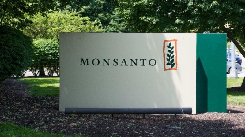 The Competition Commission of India (CCI) in 2016 ordered an investigation into whether Monsanto had abused its dominant position as a supplier of genetically modified (GM) cotton seeds. (Photo: AFP/ File) The Competition Commission of India (CCI) in 2016 ordered an investigation into whether Monsanto had abused its dominant position as a supplier of genetically modified (GM) cotton seeds. (Photo: AFP/ File)