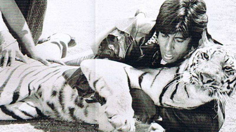 Megastar Amitabh Bachchan took to twitter to revisit his Rakesh Kumar-directed action crime film 'Khoon Pasina'. Megastar Amitabh Bachchan took to twitter to revisit his Rakesh Kumar-directed action crime film 'Khoon Pasina'.