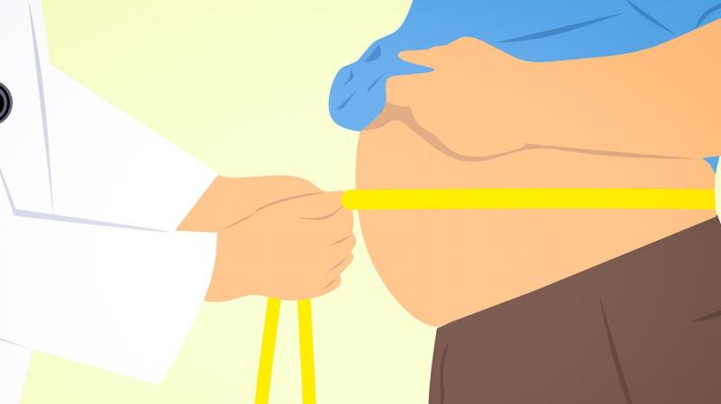 Carbon dioxide could help reduce belly fat. (Photo: Pixabay) Carbon dioxide could help reduce belly fat. (Photo: Pixabay)