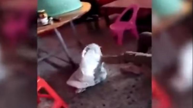 They put her inside the sack that is used to carry snakes. (Photo: Screengrab) They put her inside the sack that is used to carry snakes. (Photo: Screengrab)