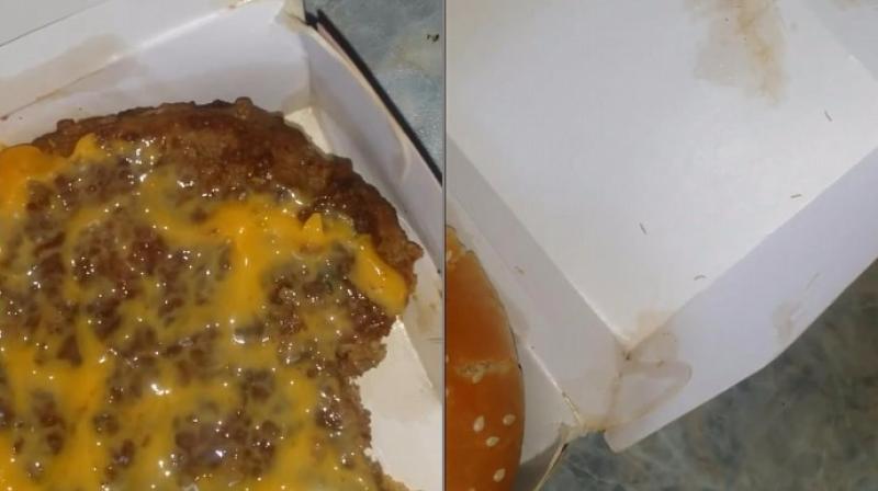 Her partner vomitted on seeing the maggots (Photo: Facebook) Her partner vomitted on seeing the maggots (Photo: Facebook)