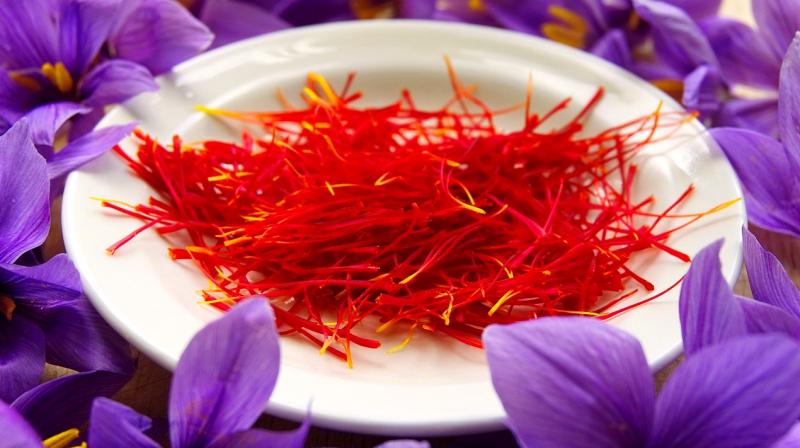 Crocus sativus L, also known as saffron, is the world's most expensive spice and is known for its antispasmodic, antiseptic, antidepressant and anticancer properties. (Photo: Representational/Pixabay) Crocus sativus L, also known as saffron, is the world's most expensive spice and is known for its antispasmodic, antiseptic, antidepressant and anticancer properties. (Photo: Representational/Pixabay)