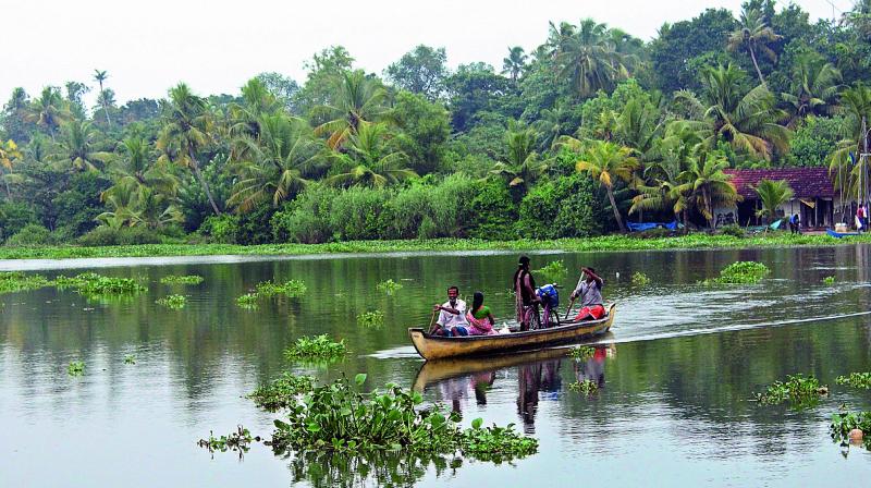 National Geographic says Kakkathuruthu is the best place to be at 6 pm. National Geographic says Kakkathuruthu is the best place to be at 6 pm.