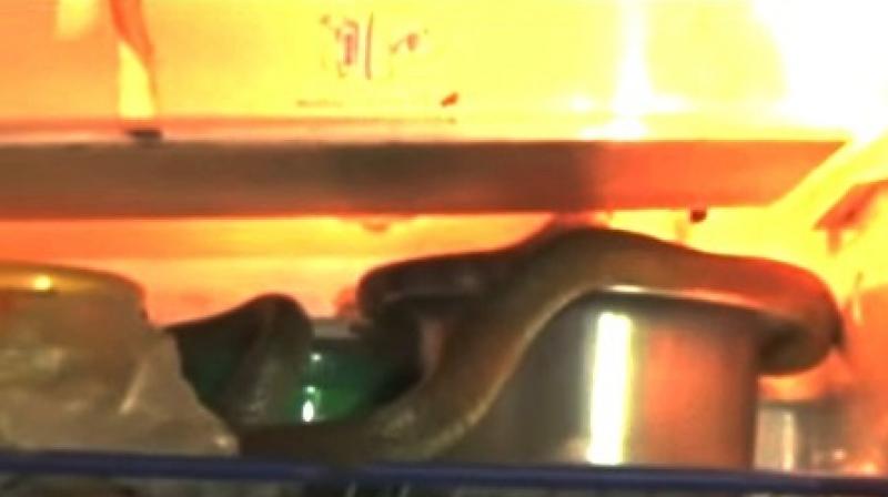 Similar incidents were also reported in Cape Town (Photo: YouTube) Similar incidents were also reported in Cape Town (Photo: YouTube)