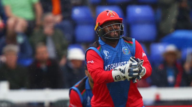 Afghanistan’s next World Cup match is against New Zealand in Taunton on Saturday. (Photo:AFP) Afghanistan’s next World Cup match is against New Zealand in Taunton on Saturday. (Photo:AFP)