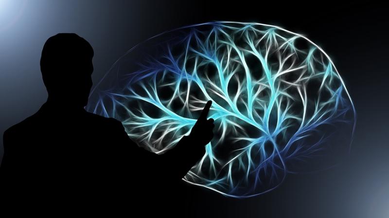New study links attention deficit disorder to impaired brain coordination. (Photo: Pixabay) New study links attention deficit disorder to impaired brain coordination. (Photo: Pixabay)