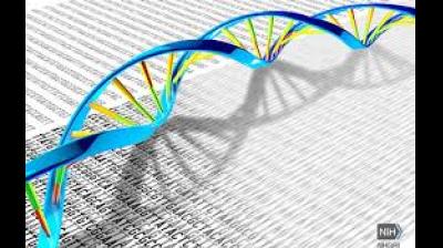 With the UK already rolling out its vaccination programme, we will soon find out the quantum of those affected by the new strain.