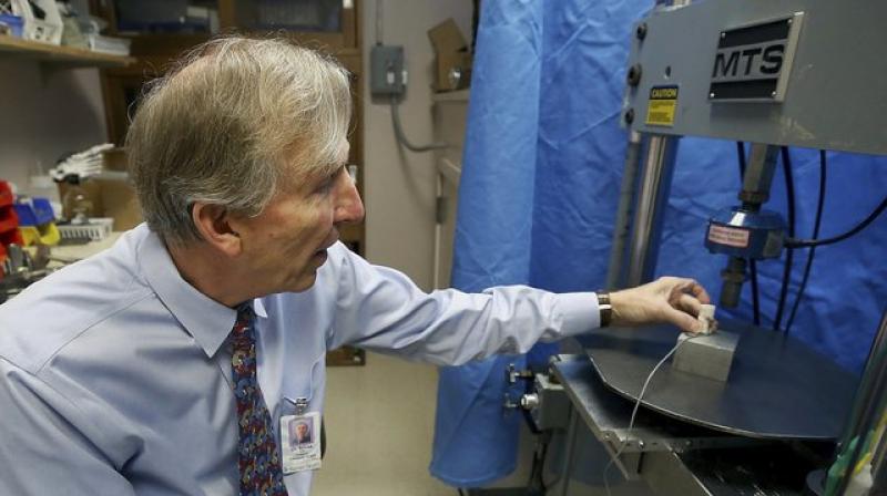 Adult stem cells can evolve into bone cells that create bone tissue. (Photo: AP) Adult stem cells can evolve into bone cells that create bone tissue. (Photo: AP)