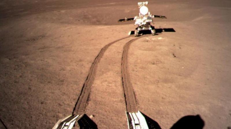 The Chang'e-4 probe carried the seeds of cotton, rape, potato and arabidopsis, as well as eggs of the fruit fly and some yeast, to form a simple mini biosphere. (Photo: EPA-EFE) The Chang'e-4 probe carried the seeds of cotton, rape, potato and arabidopsis, as well as eggs of the fruit fly and some yeast, to form a simple mini biosphere. (Photo: EPA-EFE)