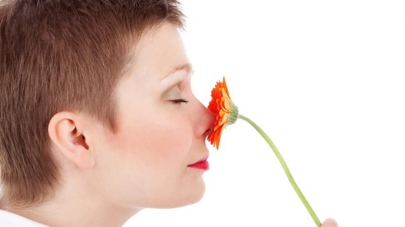People with good spatial memory are good at identifying smells. (Photo: Pixabay) People with good spatial memory are good at identifying smells. (Photo: Pixabay)