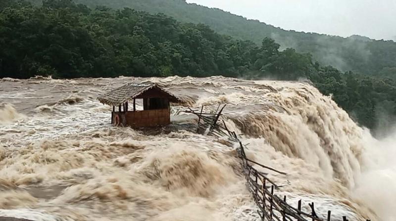 Flood waters reached the Athirappally waterfalls on Thursday(Photo: ANUP K. Venu) Flood waters reached the Athirappally waterfalls on Thursday(Photo: ANUP K. Venu)