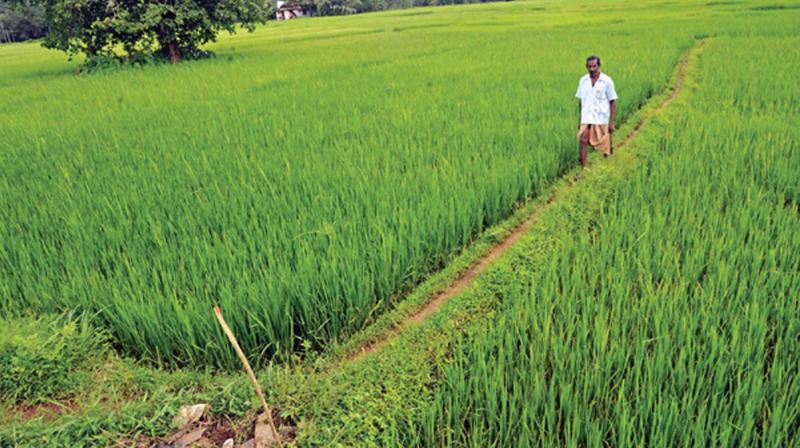 The land-owner farmers who lease out their land are earning income through lease amount received from tenants and the RB scheme. The land-owner farmers who lease out their land are earning income through lease amount received from tenants and the RB scheme.