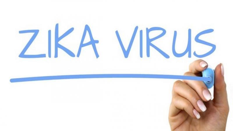 The next step is to develop an animal model for the study of how to treat and cure infections such as the Zika virus in utero. (Photo: ANI) The next step is to develop an animal model for the study of how to treat and cure infections such as the Zika virus in utero. (Photo: ANI)