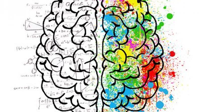 Dopamine is an important neurotransmitter for learning new motor skills and in reward-related learning and this research shows that exercise significantly improves dopamine-related brain function. (Photo: Representational/Pixabay) Dopamine is an important neurotransmitter for learning new motor skills and in reward-related learning and this research shows that exercise significantly improves dopamine-related brain function. (Photo: Representational/Pixabay)