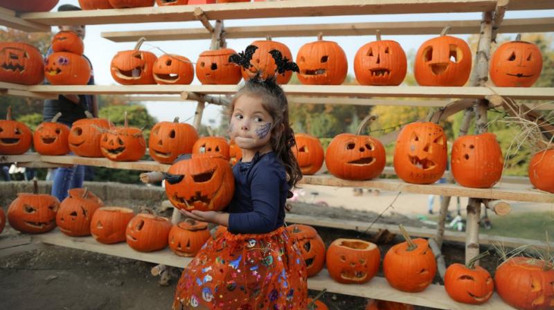 The finished pumpkins were displayed on a 4-meter-high and 100-meter-long scaffold. (Photo: AP)