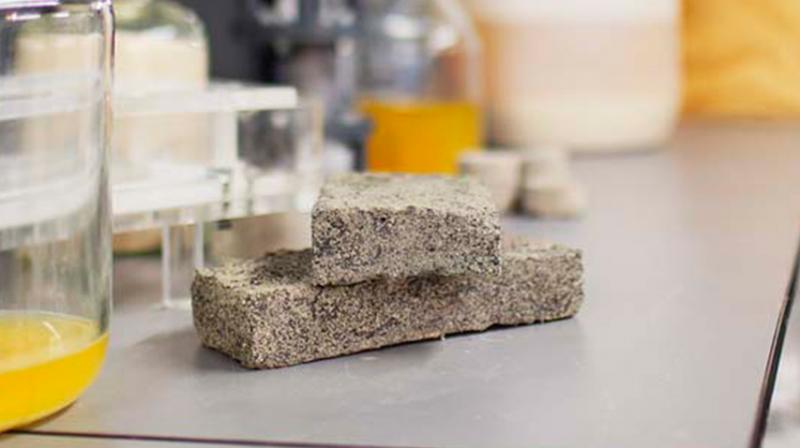 The grey bricks are produced in a lab over eight days using urine, calcium, sand and bacteria. Fertilizers are also produced during the processes. (Photo: University of Cape Town) The grey bricks are produced in a lab over eight days using urine, calcium, sand and bacteria. Fertilizers are also produced during the processes. (Photo: University of Cape Town)
