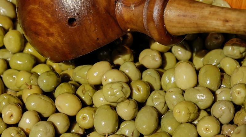 State Agriculture Minister Prabhu Lal Saini said the brand, named Olitia, The Olive Tea, will be launched by Chief Minister Vasundhara Raje. (Photo: Pixabay) State Agriculture Minister Prabhu Lal Saini said the brand, named Olitia, The Olive Tea, will be launched by Chief Minister Vasundhara Raje. (Photo: Pixabay)