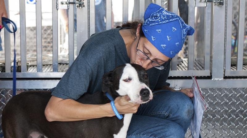 Southwest Airlines flew more than 60 animals thousands of miles across the US into a facility in San Diego. (Photo: AP) Southwest Airlines flew more than 60 animals thousands of miles across the US into a facility in San Diego. (Photo: AP)