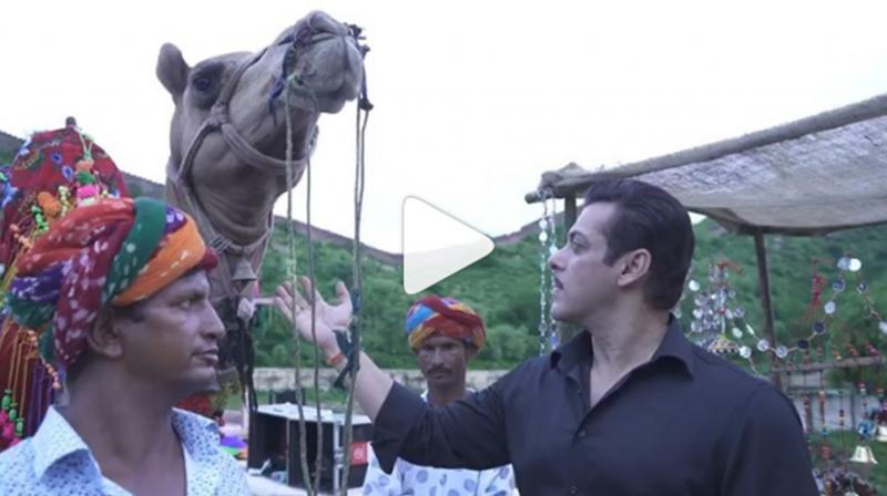 Salman Khan with Sultan. (Photo: Instagram) Salman Khan with Sultan. (Photo: Instagram)