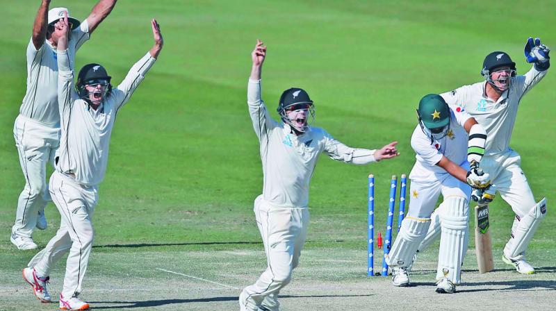 New Zealand players celebrate a Pakistan wicket during the fourth day of first Test