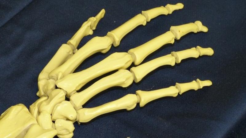 The researchers said micro RNAs could be developed as medicines that might prevent, slow or reverse arthritis. (Photo: ANI)