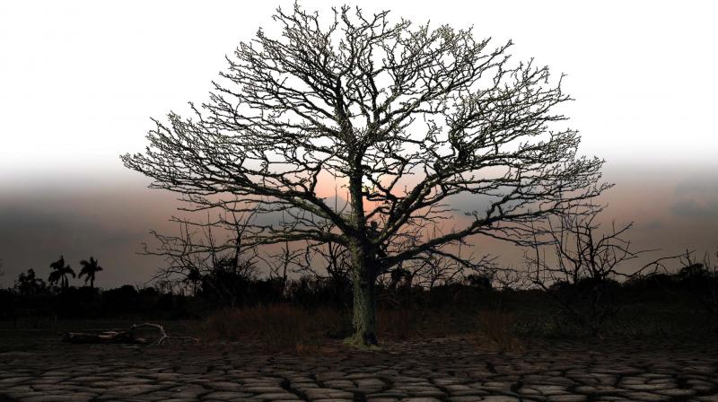 The state’s citizens are looking at a possible water shortage in summer and higher power tariffs because of poor rains. (Representational image) The state’s citizens are looking at a possible water shortage in summer and higher power tariffs because of poor rains. (Representational image)
