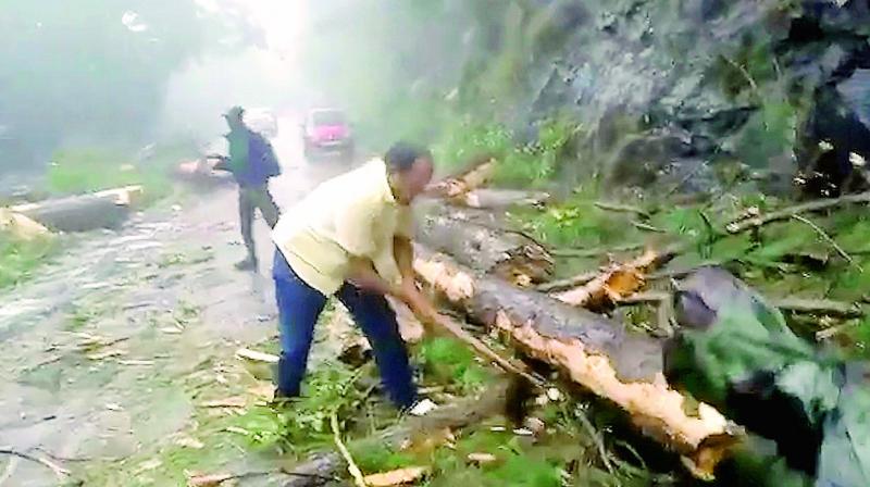 Man chops branches from a tree to clear a road after a cyclone struck Cuddalore, in the southern Indian state of Tamil Nadu. (Photo: PTI) Man chops branches from a tree to clear a road after a cyclone struck Cuddalore, in the southern Indian state of Tamil Nadu. (Photo: PTI)