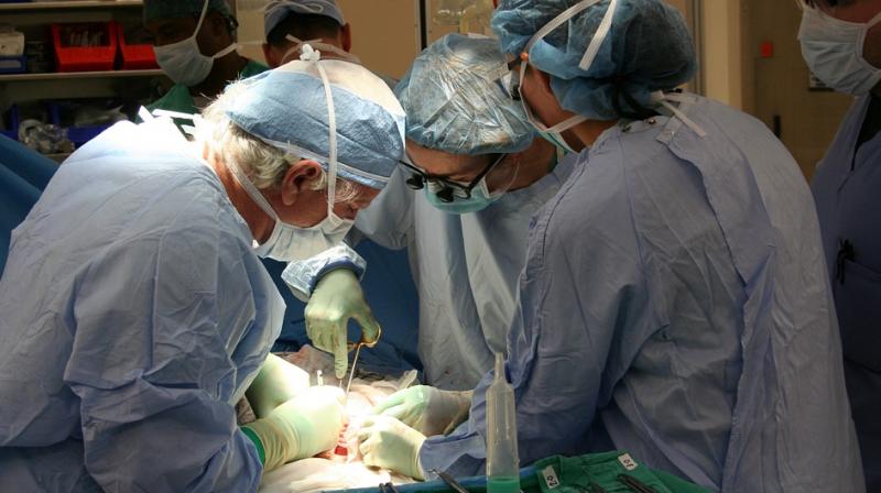 The calculator estimates the likelihood of the patient who receives a kidney transplant from a particular living donor would have a functioning kidney 5 and 10 years after transplantation. (Photo: Pixabay) The calculator estimates the likelihood of the patient who receives a kidney transplant from a particular living donor would have a functioning kidney 5 and 10 years after transplantation. (Photo: Pixabay)
