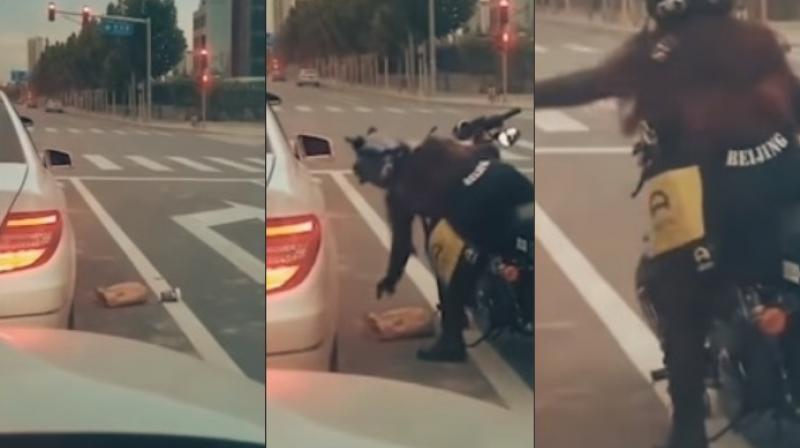 Some people won't stop at expressing disappointment at poor conduct (Photo: YouTube) Some people won't stop at expressing disappointment at poor conduct (Photo: YouTube)