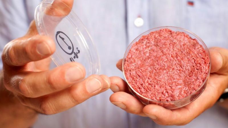 For supporters, cell-based meat and fish products can transform the production system sustainably by avoiding the raising and killing of animals. (Photo: AFP) For supporters, cell-based meat and fish products can transform the production system sustainably by avoiding the raising and killing of animals. (Photo: AFP)