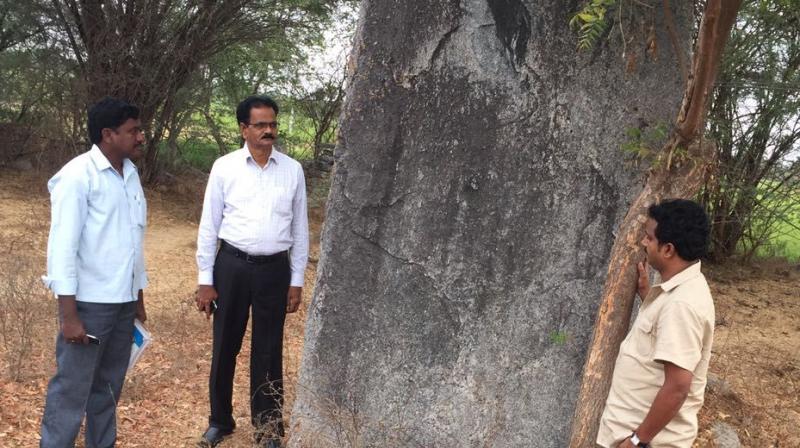 The ancient menhir that was discovered in Nalgonda district. The structure stands 11 feet high and was built as a memorial for warriors or tribal leaders in the region. Similar relics have been found in Guntur too. The ancient menhir that was discovered in Nalgonda district. The structure stands 11 feet high and was built as a memorial for warriors or tribal leaders in the region. Similar relics have been found in Guntur too.