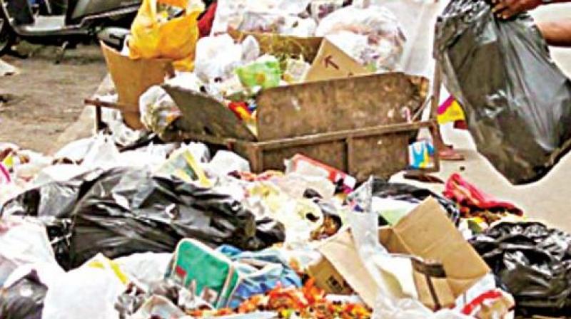 At present the city has been generating nearly 120 tonnes of wet garbage and it is difficult for the civic body to segregate and manage it. (Representational image) At present the city has been generating nearly 120 tonnes of wet garbage and it is difficult for the civic body to segregate and manage it. (Representational image)