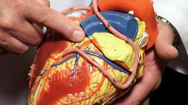The new study found that patients with more severe heart failure have higher levels of the thyroid hormones TSH and T4 and lower T3 levels. (Photo: AP) The new study found that patients with more severe heart failure have higher levels of the thyroid hormones TSH and T4 and lower T3 levels. (Photo: AP)