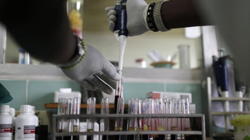 A team of scientists from the University of New South Wales in Syndey have used a gene editing technique to introduce a natural mutation into blood cells. A team of scientists from the University of New South Wales in Syndey have used a gene editing technique to introduce a natural mutation into blood cells.