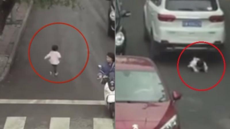 The video has astonished netizens (Photo: YouTube) The video has astonished netizens (Photo: YouTube)