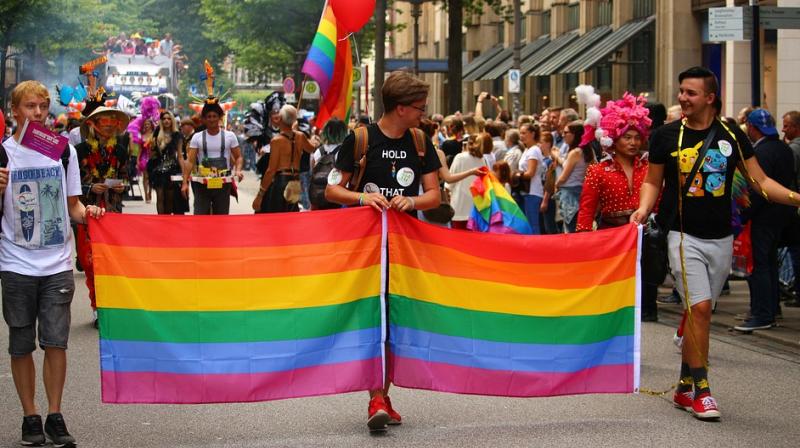 The court voted last August to legalise gay marriage and said later the ruling would take effect in May 2020, making Costa Rica the first country in socially conservative Central America to recognise that right. (Photo: Representational/Pixabay) The court voted last August to legalise gay marriage and said later the ruling would take effect in May 2020, making Costa Rica the first country in socially conservative Central America to recognise that right. (Photo: Representational/Pixabay)
