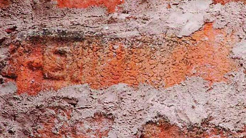 The Jain inscription found on the fort wall The Jain inscription found on the fort wall