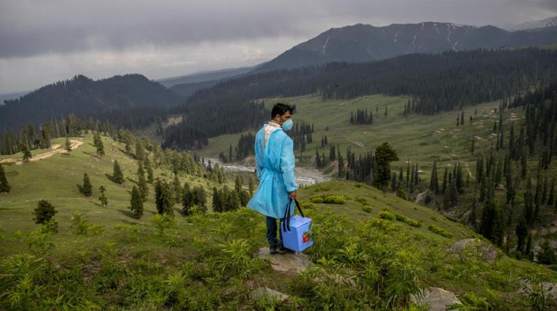 In Pictures | Health workers vaccinate Kashmir nomads