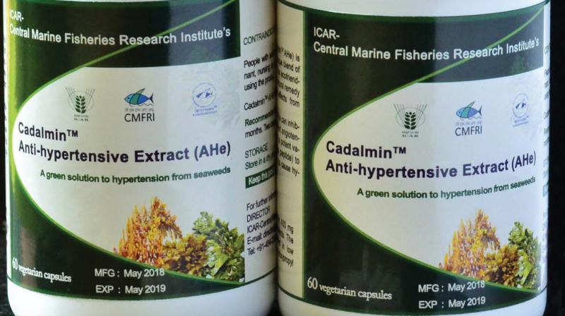 Dr Trilochan Mohapatra, Secretary, Department of Agriculture Research and Education and Director General of Indian Council of Agricultural Research (ICAR) released the product at a function held at CMFRI on Tuesday. Dr Trilochan Mohapatra, Secretary, Department of Agriculture Research and Education and Director General of Indian Council of Agricultural Research (ICAR) released the product at a function held at CMFRI on Tuesday.