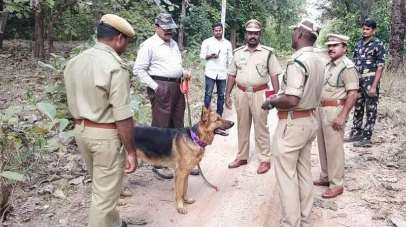 A representational photo of forest rangers (Image: Telangana forest department)